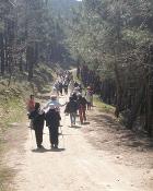 Bilbao (Vizcaya): Se pone en marcha el programa “Red de caminantes”