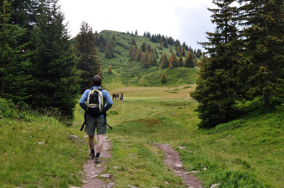 Caminar por el bosque reduce la obesidad, el estrés y el insomnio