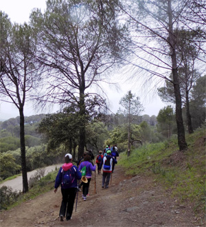 Nuevas rutas para la actividad Paseando por los senderos de Jaén
