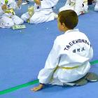 II Campeonato de Taekwondo infantil